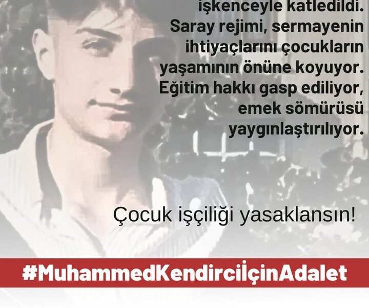 Seyit Aslan: MESEM programları iptal edilmeli, çocuk işçiliği yasaklanmalıdır Seyit Aslan: MESEM programları iptal edilmeli, çocuk işçiliği yasaklanmalıdır