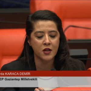 Sevda Karaca’dan çağrı: Rojava’da Kürt halkının haklarını savunmak işçi sınıfının sorumluluğudur Sevda Karaca’dan çağrı: Rojava’da Kürt halkının haklarını savunmak işçi sınıfının sorumluluğudur