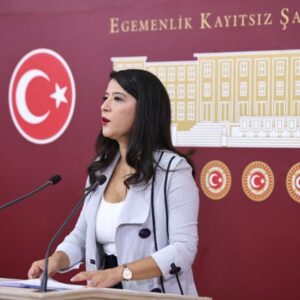 Karaca: Halep’teki saldırılar halkların bir arada yaşama iradesine topyekûn saldırıdır