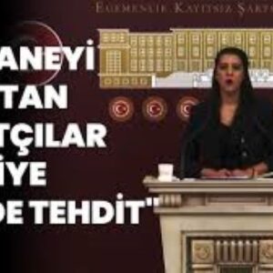 Sevda Karaca: ‘Kobane’yi kuşatan cihatçılar Türkiye için de tehdit’