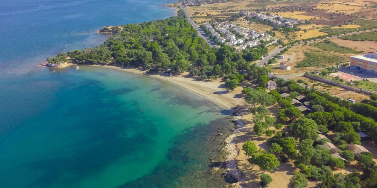 Kanun değişikliği yoluyla talana hayır! Milli parklar, ormanlar, göl ve sulak alanlar ranta açılamaz