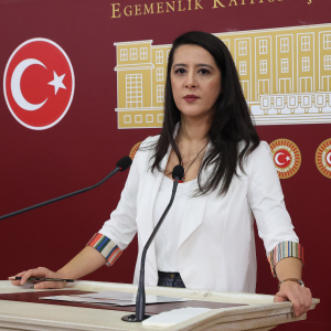 EMEP Milletvekili Sevda Karaca: Aile yılı kadınları şiddetten korudu mu?