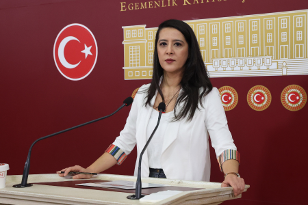 EMEP Milletvekili Sevda Karaca: Aile yılı kadınları şiddetten korudu mu?