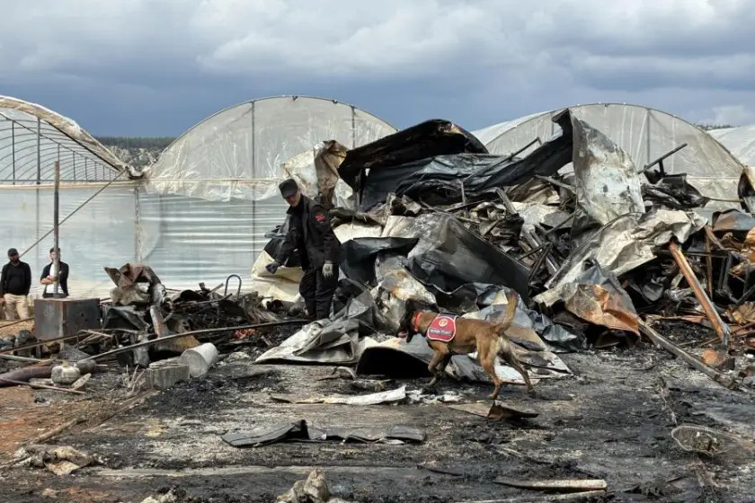 Antalya’da hayatını kaybeden çocukların sorumlusu iktidar ve politikalarıdır!