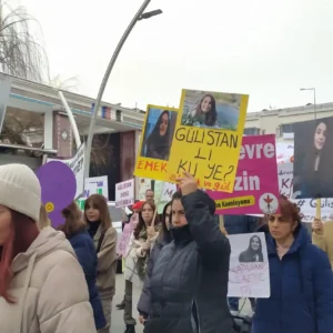 Emek Partisi Dersim İl Örgütü: ‘Dönemin Valisi Tuncay Sonel soruşturmaya dahil edilsin’