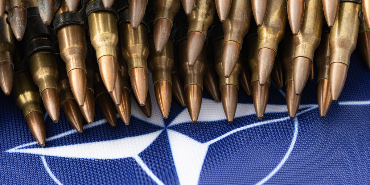 İskender Bayhan: ‘NATO ulusal güvenliği tehdit eden celladın başıdır’