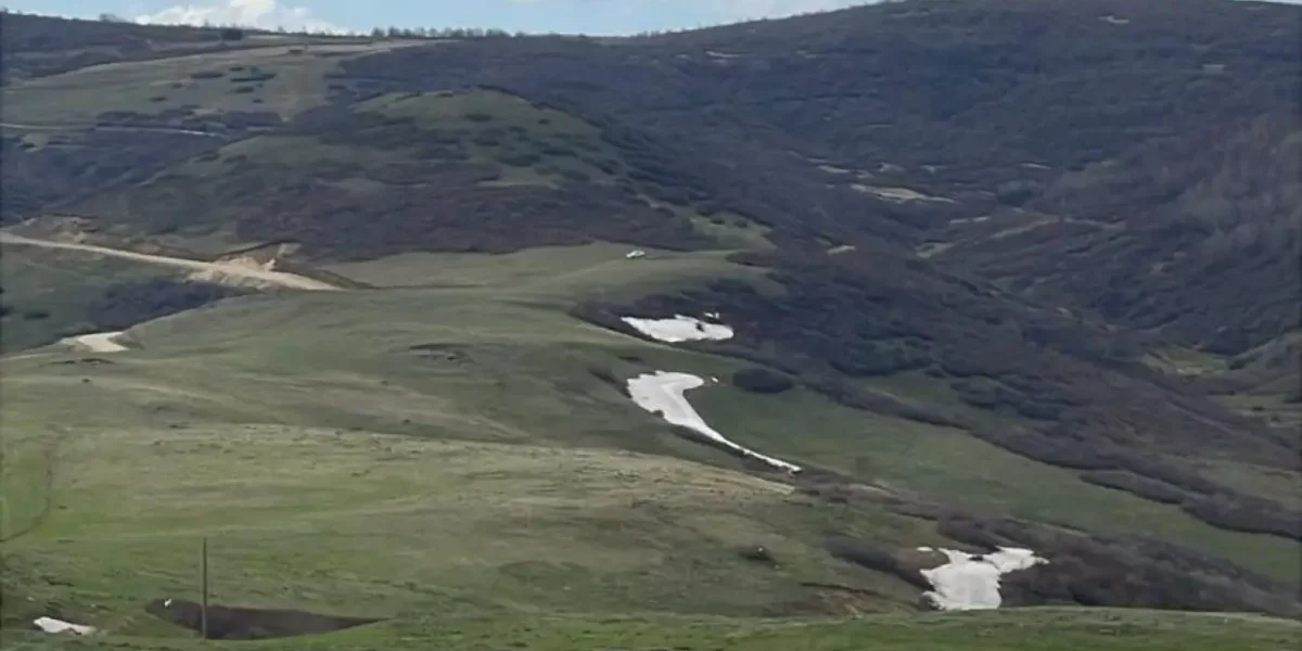 EMEP Ordu İl Örgütü: Yaylalarımıza dokunmayın, mücadele büyütülecek