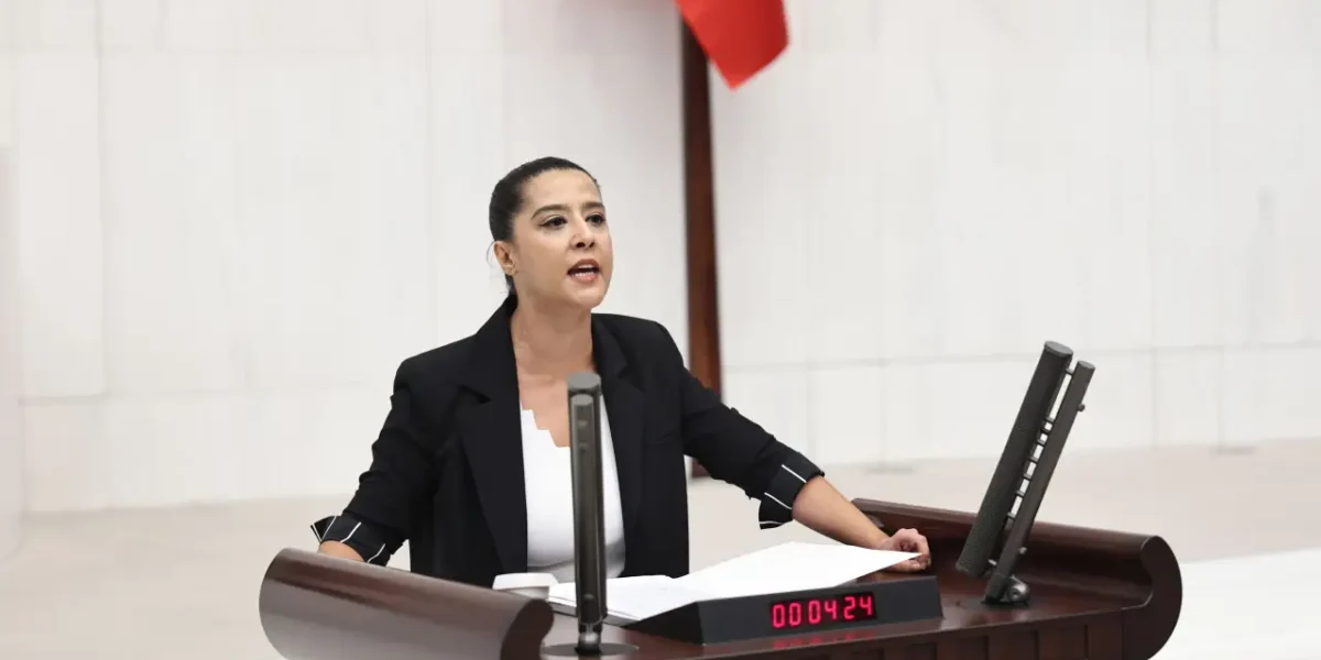 Sevda Karaca’nın ‘Filistin’ konuşması yeniden gündem oldu: Yabancı dillere çevrildi… Sevda Karaca’nın ‘Filistin’ konuşması yeniden gündem oldu: Yabancı dillere çevrildi…