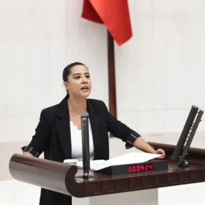 EMEP’li Sevda Karaca’dan Gülistan Doku soruları: ‘Tuncay Sonel Mehmet Ağar’la görüştü mü?’