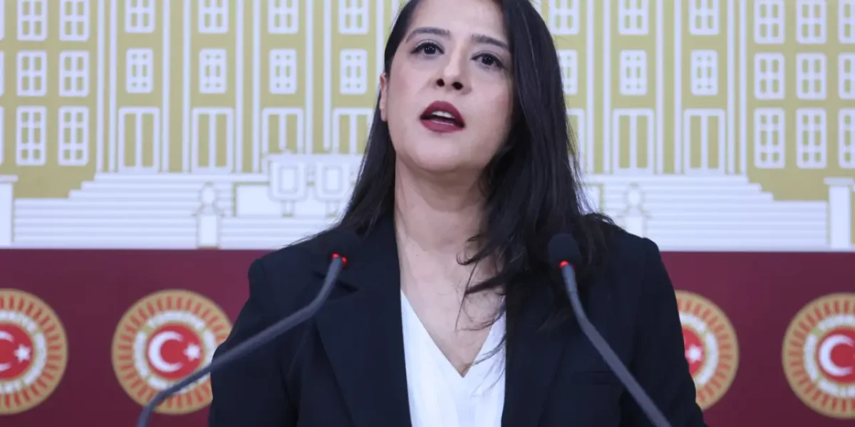 AKP’nin sunduğu vergi paketi Mecliste görüşülüyor | EMEP’li Karaca: AKP kaynağı belirsiz servete çıkış kapısı açıyor