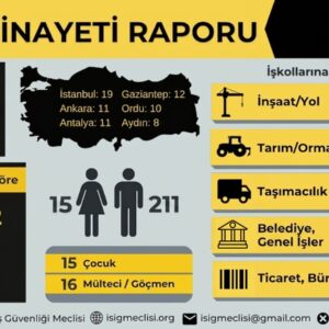 İş cinayetlerinin önlenmesi için denetim, önlem, caydırıcı ceza!